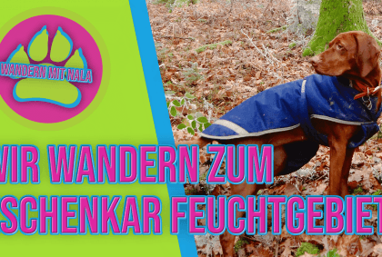 Wandern mit Nala – Wir wandern zum Eschenkar Feuchtgebiet