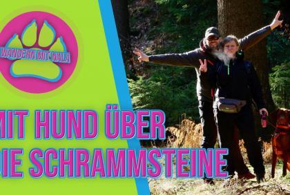 Wandern mit Nala – Mit Hund über die Schrammsteine
