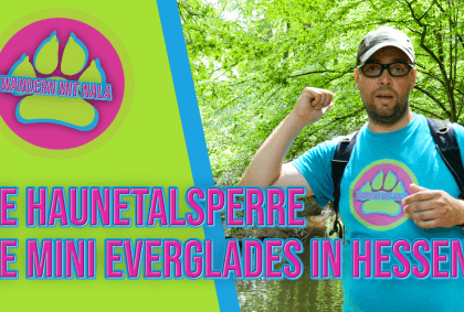 Wandern mit Nala – Die Haunetalsperre – Mini Everglades in Hessen