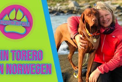 Ein Torero in Norwegen – Wandern mit Nala