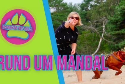 Rund um Mandal 🇳🇴 – Wandern mit Nala – Wandern mit Hund