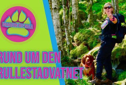 Rund um den Rullestadvatnet 🇳🇴 – Wandern mit Nala – Wandern mit Hund