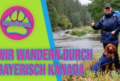 Bayerisch Kanada – Bayerischer Wald – Wandern mit Hund – Wandern mit Nala