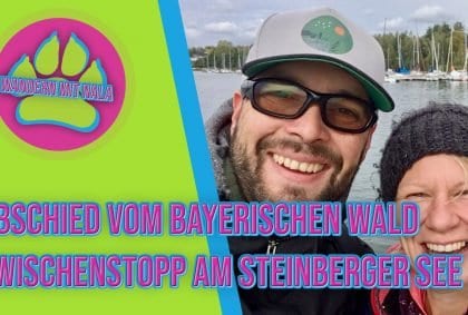 Abschied vom bayerischen Wald – Zwischenstopp am Steinberger See  – Wandern mit Hund 🐶