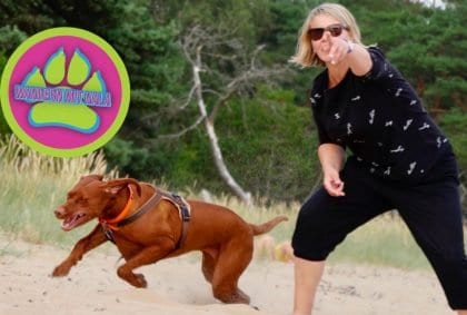 Wie du deinen Hund unterwegs beschäftigen 💪 kannst – Wandern mit Hund 🐕