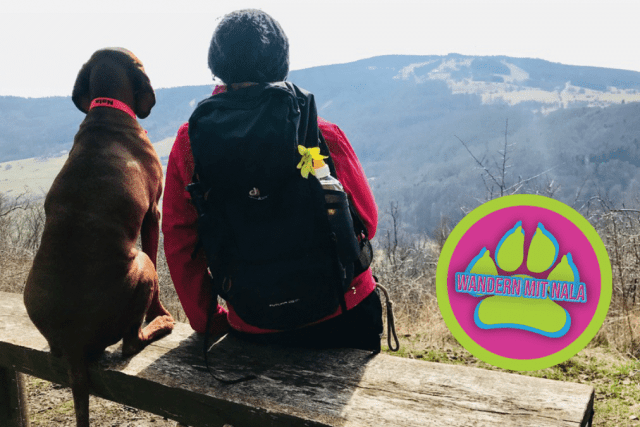 Hoch zur Osterburg – Bischofsheim – Rhön – Wandern mit Hund 🐕