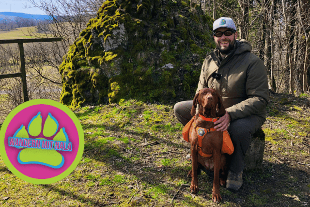 Grenzerfahrung in der Rhön – Schwarzes Moor – Wandern mit Hund 🐕