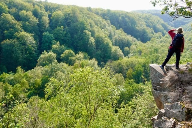 Vogelspinnen, Dinosaurier und historische Gebäude – Wander mit uns durch den Söderåsen Nationalpark 🇸🇪 – Freiheitstour 2020 – Roadtrip mit Hund 🐕 [Video]