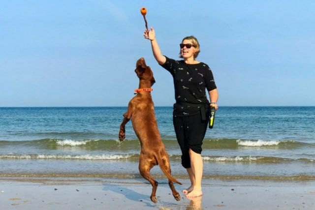 Abfahrt Richtung Dänemark 🇩🇰 – Skandinavien Tour mit Hund 2019 – E01