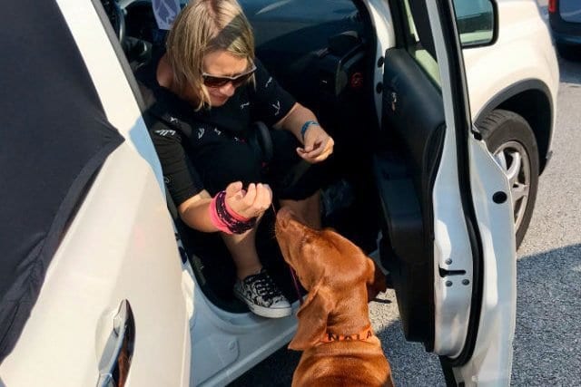Fährfahrt nach Norwegen – Skandinavien Tour mit Hund 2019 – E02